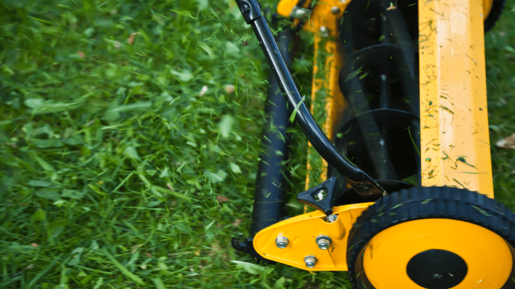 What to Consider When Choosing A Lawn Mower for Single Moms
