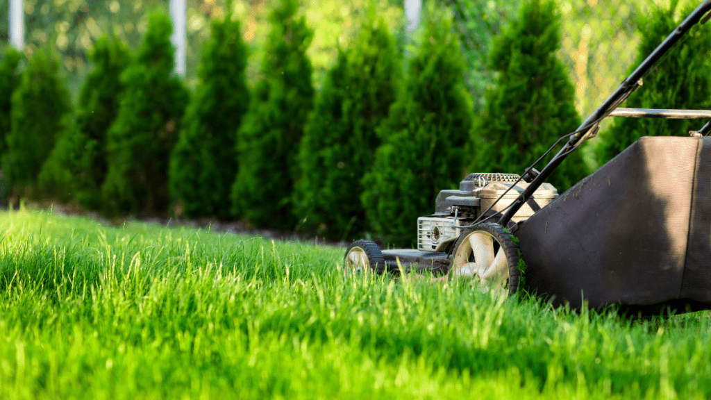 Why Single Moms Need a Lawn Mower