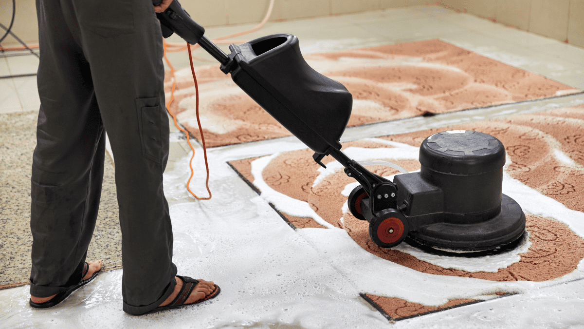 How to Clean Smelly Carpet Best 5 Methods Actually Work