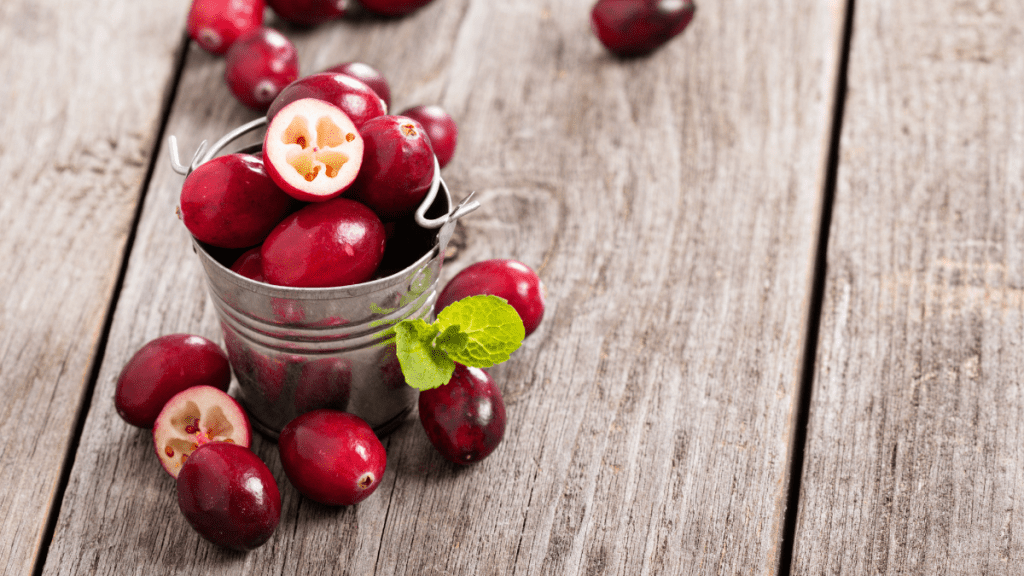 What Are the Benefits of Cranberry Juice for Pregnant Women?
